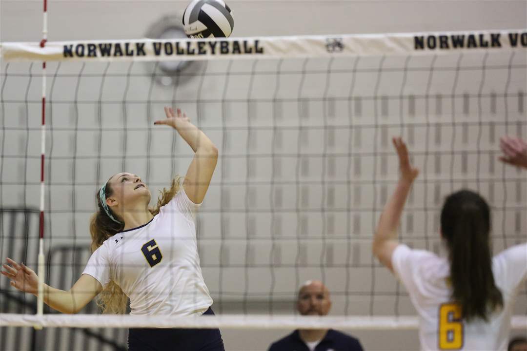 SPT-D1volleyReg6p-calamunci-spike