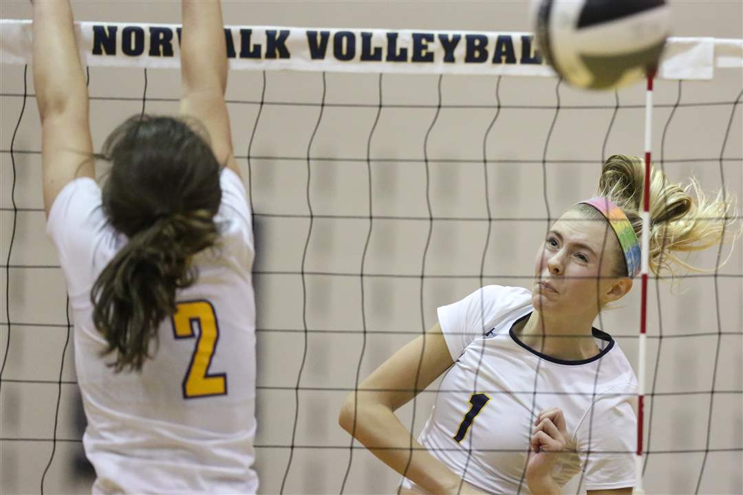 SPT-D1volleyReg6p-speweik