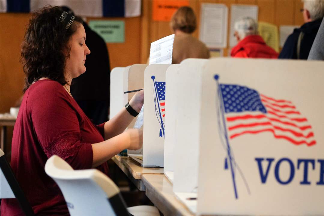 toledovoteShinaver09p