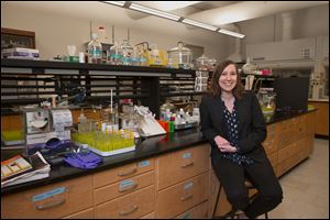 The National Science Foundation recently awarded BGSU professor Alexis Ostrowski a CAREER grant of almost $600,000 to fund her research for five years. She also recently was named one of 16 ‘Emerging Investigators in Inorganic Photochemistry and Photophysics’ by the American Chemical Society.