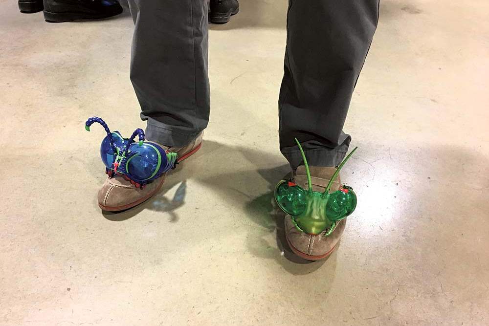 DSHOES-Shoes2-jpg-bugs