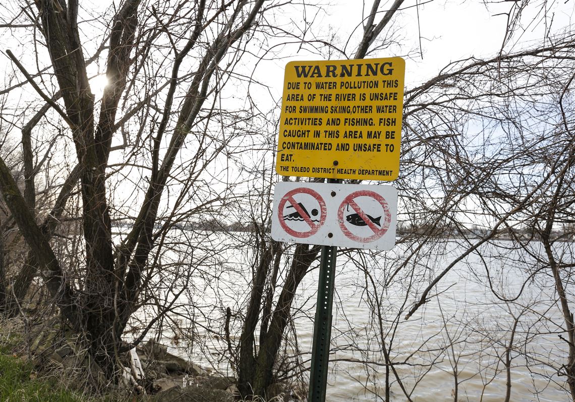 No Swimming Sign Pollution