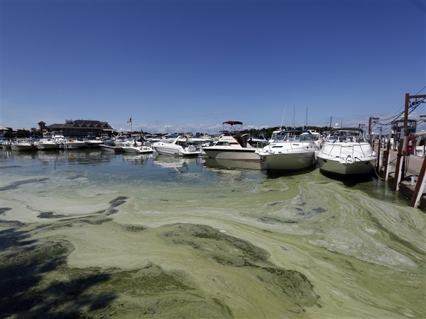 Michigan plan seeks less pollution causing Lake Erie algae | The Blade