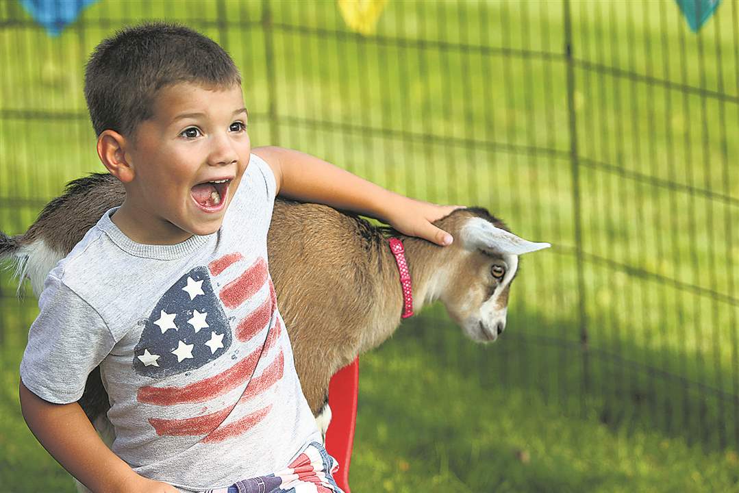 SOC-stoneoak4th03p-4