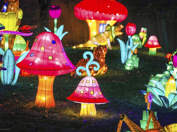 TREASURE nightgarden 展示ポラロイド ジフン n6lanterns-jpg-2.jpg