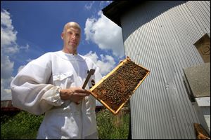 James Case, who has been keeping bees for six or seven years, examines one of his six hives of honeybees in Riga, Mich.