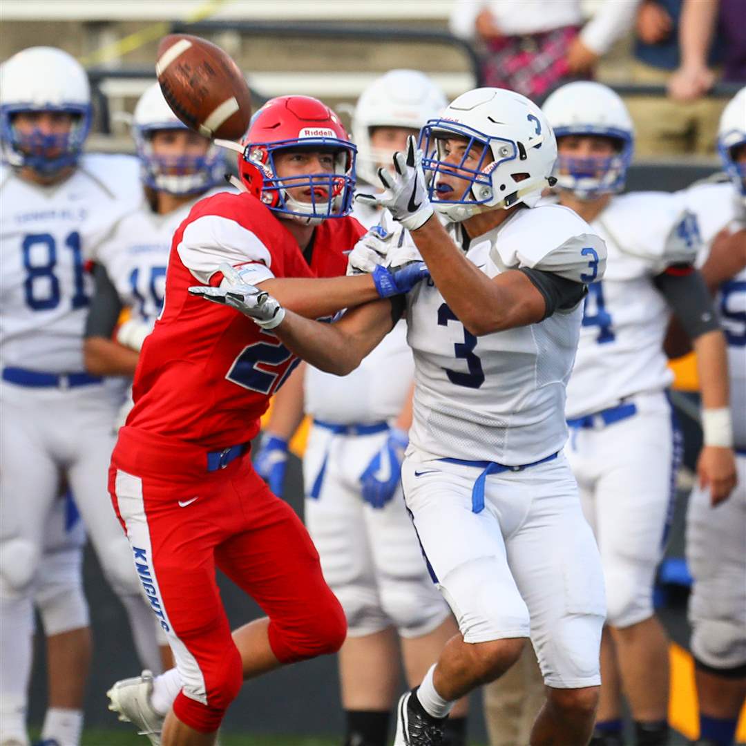 SPT-AWStFrancis26p-8