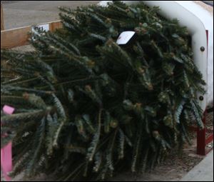 Waterville Presbyterian Church is hosting a Christmas Tree Sale through Dec. 8 or while supplies last.