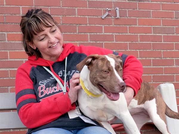 Lucas County Dogs for Adoption: 3/28