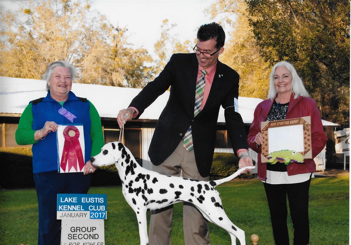 westminster winning breeds