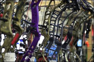 Some of the bows on display at Cleland's Outdoor World in Swanton. 