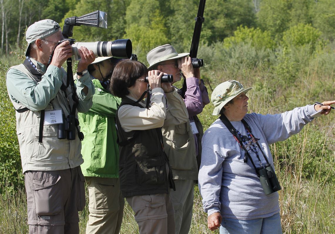 Toledos Metroparks a haven for birds and birders The Blade pic image
