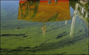 A docked boat is reflected in the algae-covered water of Lake Erie’s Maumee Bay in Oregon, Ohio. 