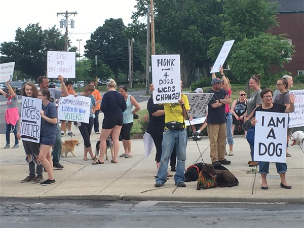Dog-rights rally in Bowling Green protests Wood County Dog Shelter ...