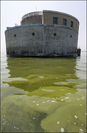 Algae is visible in Lake Erie near the Toledo water intake crib in 2014.