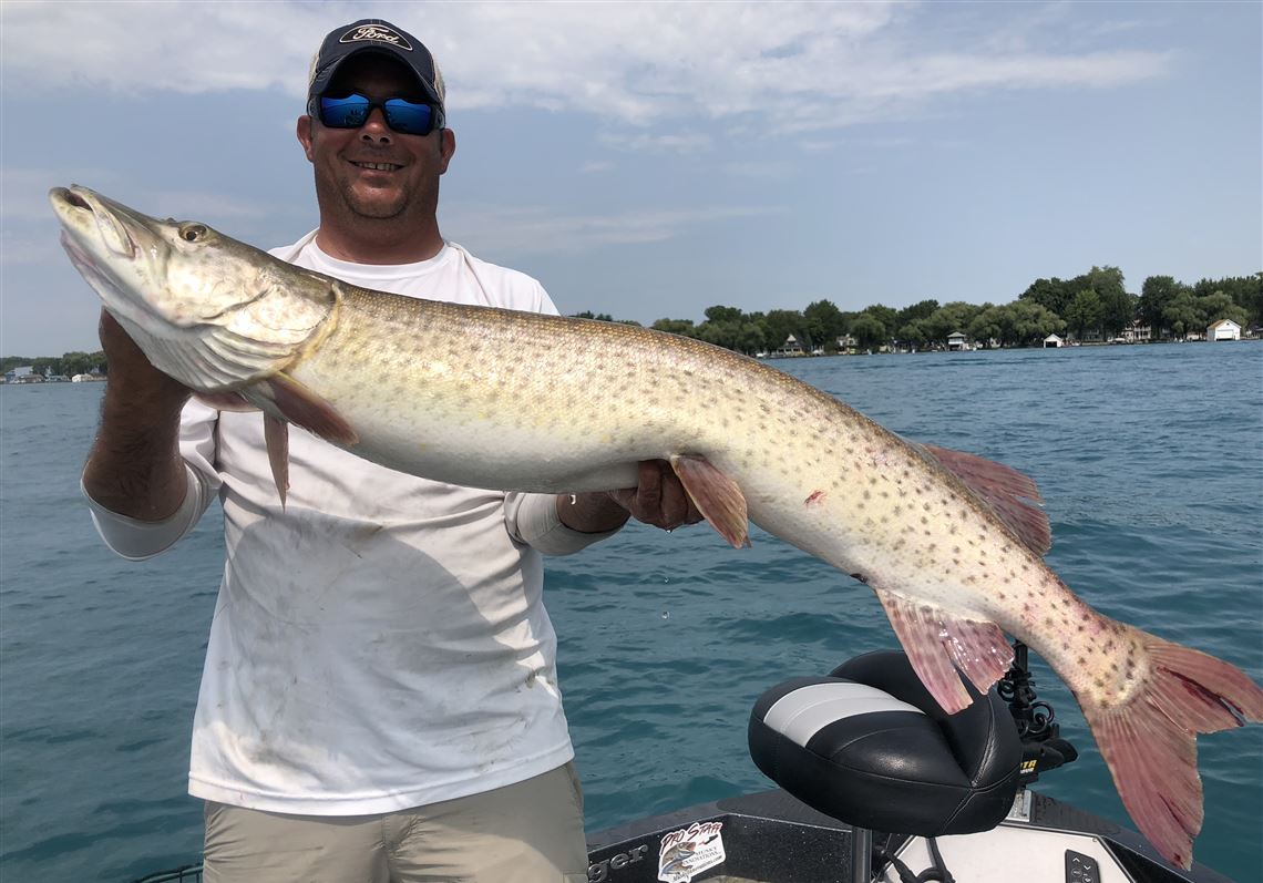 Blade Fishing Report Perch Fishing Still Strong In Lake Erie