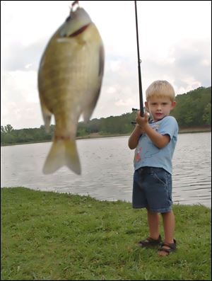 VFW Post 9816 will host a perch fishing tournament in Oregon.