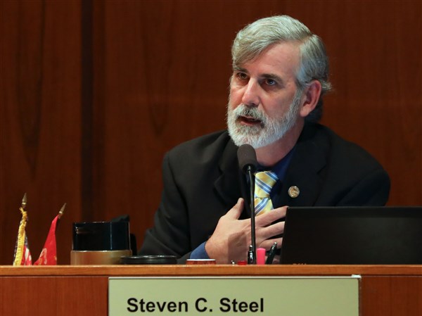 Steel wrote job description for City Council chief of staff position ...