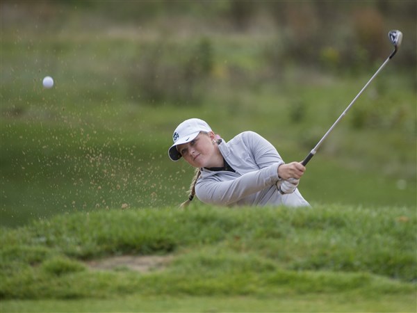 Ottawa Hills' Dayton close to top of leaderboard at state golf meet ...