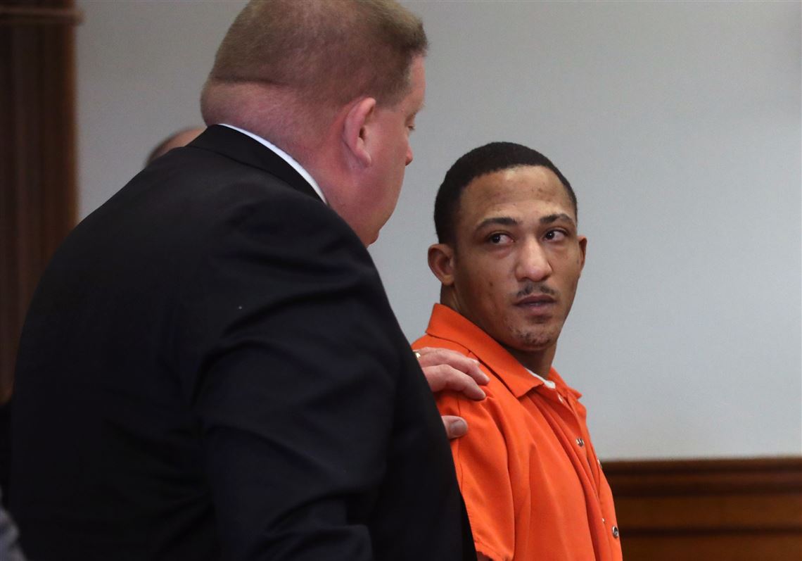 Michigan man sentenced to 40 years for raping four women The Blade