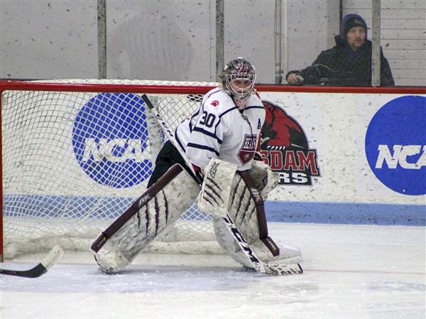 Sylvania native Pfeiffer rewriting record books at Potsdam | The Blade