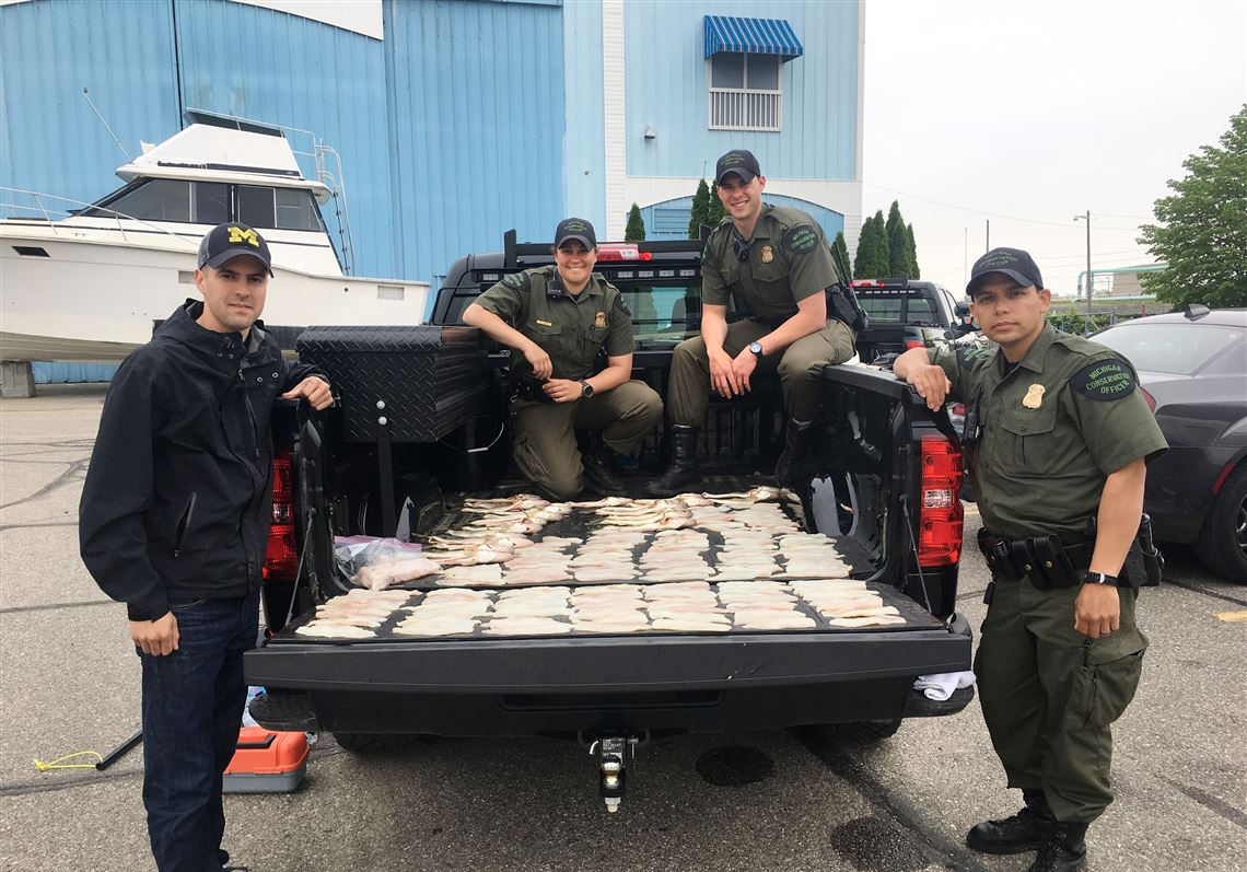 Detroit River walleye poaching spotlights need for citizen involvement |  The Blade