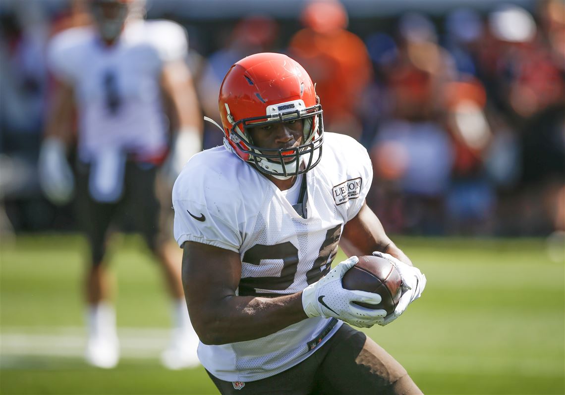 Cleveland Browns Training Camp Seating Chart