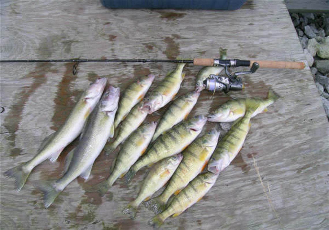 Blade Fishing Report: Popular 'perch bite' under way in Lake Erie