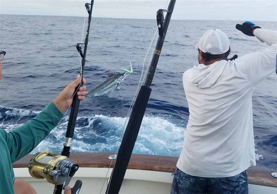 Marlin fight their way into memorable family fishing trip