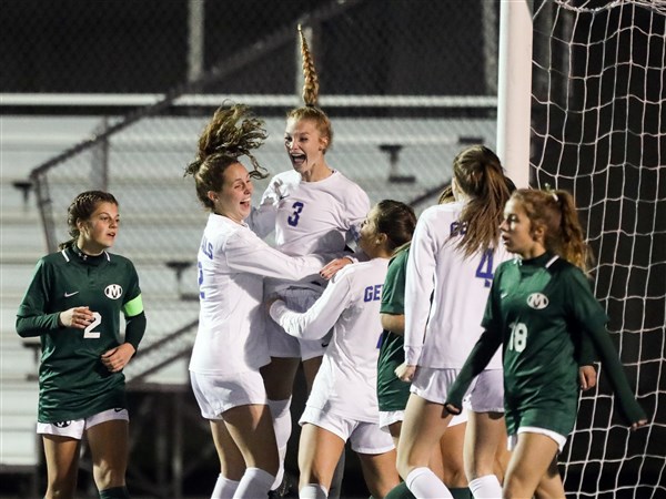 Anthony Wayne will play for state girls soccer title | The Blade