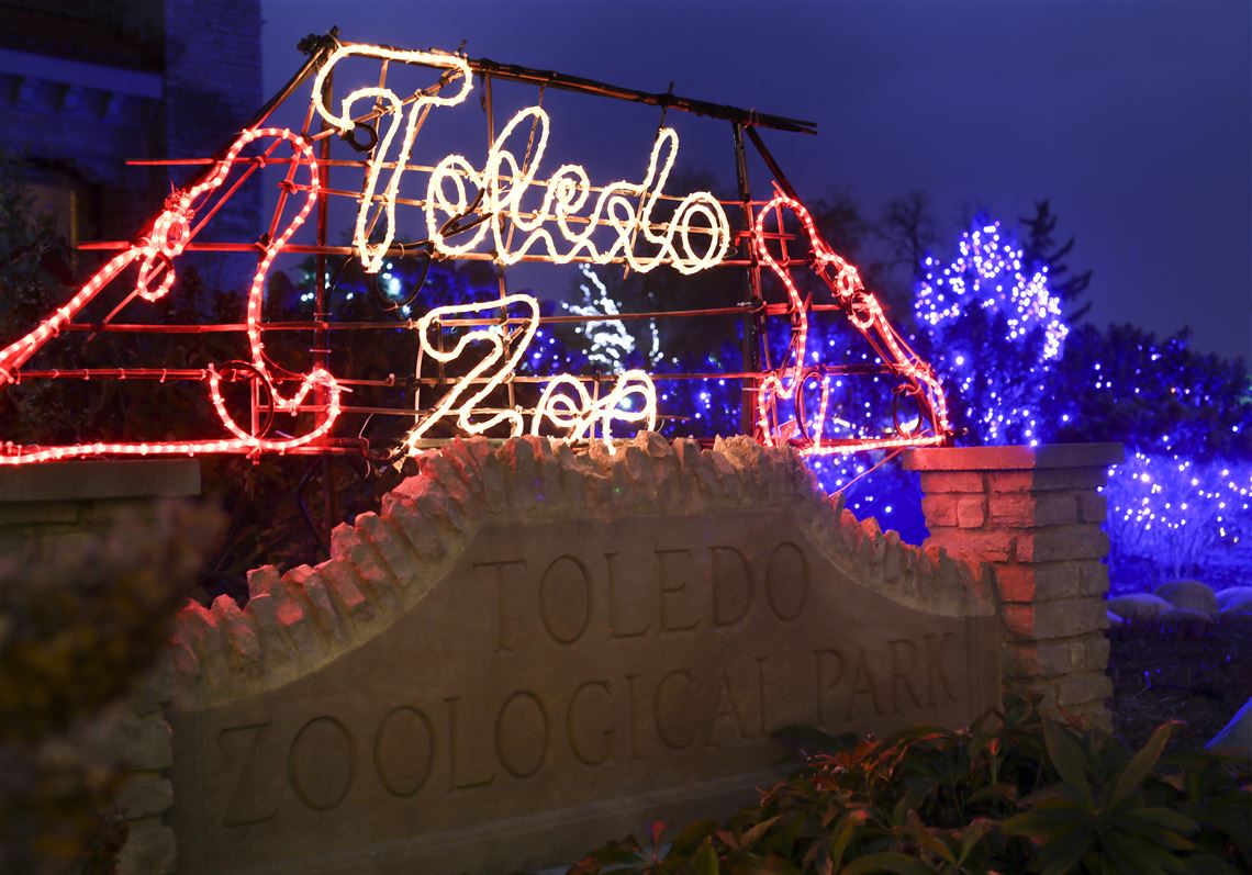 toledo zoo lights before christmas 2020 hours Toledo Zoo Lights Up Again The Blade toledo zoo lights before christmas 2020 hours