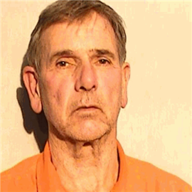 Ex-firefighter faces rape, child porn charges | The Blade