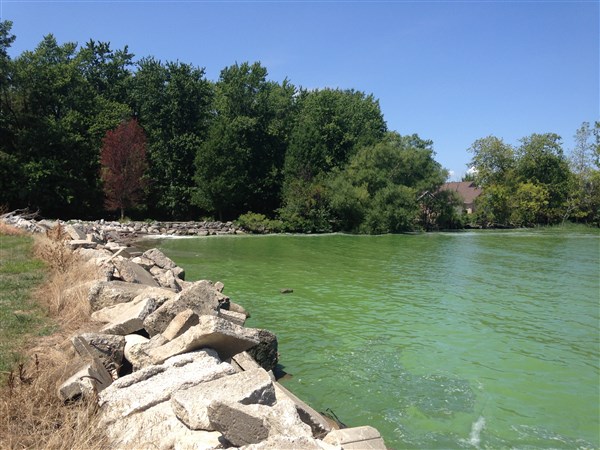 Great Lakes Restoration Initiative receives extra $20 million | The Blade