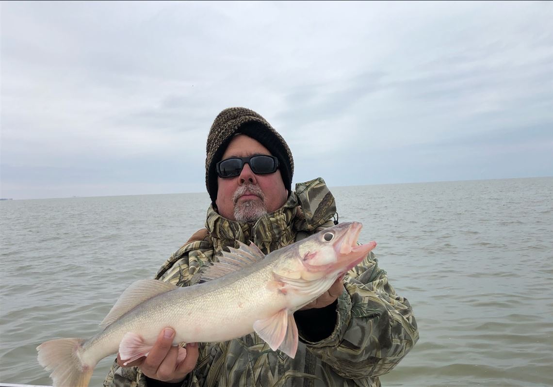 Outdoors Lake Erie Walleye Spring Forward Oblivious To A Pandemic Toledo Blade