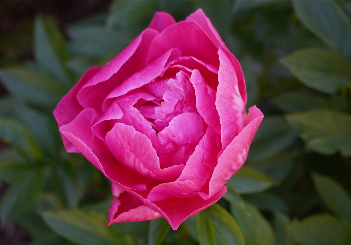 Savoring The Great Outdoors The Blade