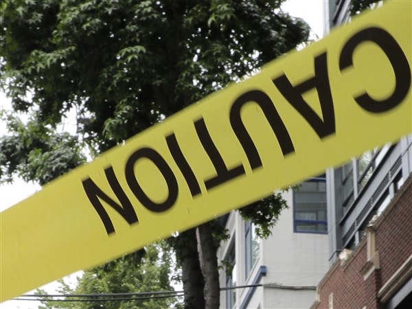 Sheriff says 2 deputies killed while serving warrant in Georgia | The Blade