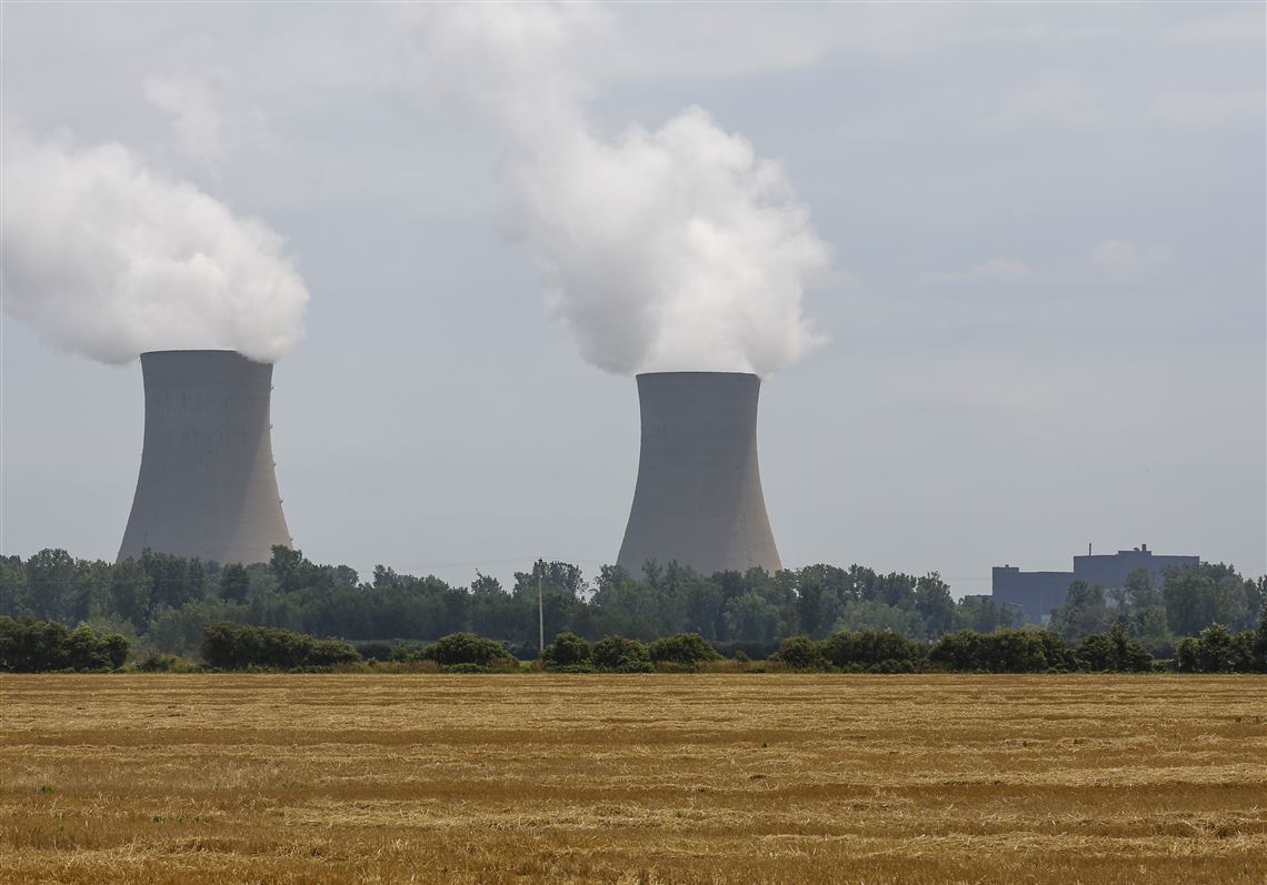 Suspected mayfly swarm causes power loss at nuclear plant in Michigan | The  Blade