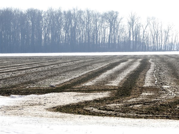 Wise use of manure no worse than synthetic fertilizers, research shows - Toledo Blade
