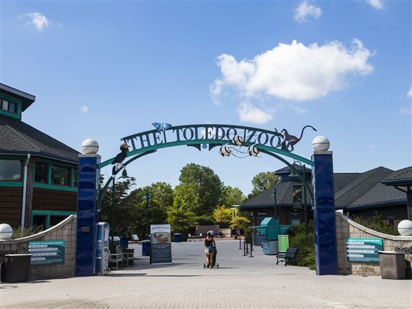 K-12 school fair set for Toledo Zoo