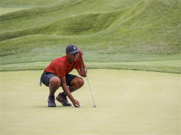 St. John's Jesuit wins by 1 shot at Division I golf sectionals | The Blade