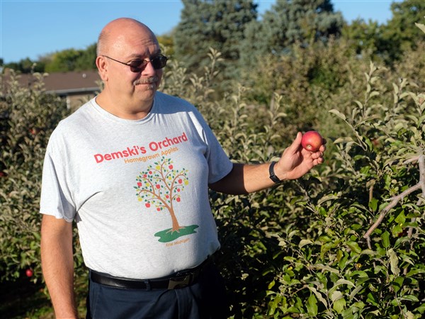 Climate change or not, area apple growers are hurting this fall - Toledo Blade