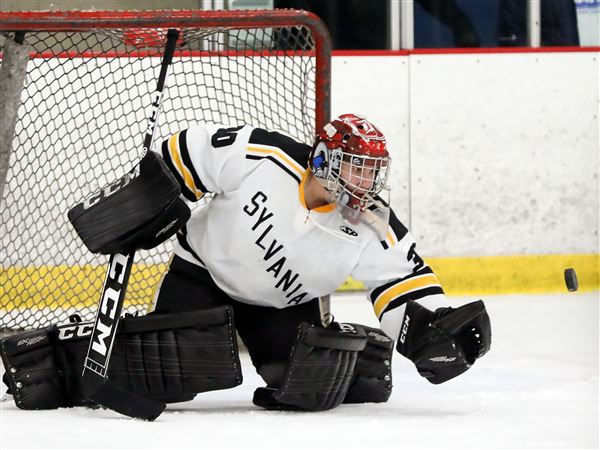 Northview enters state hockey poll top 10, St. Francis No. 2