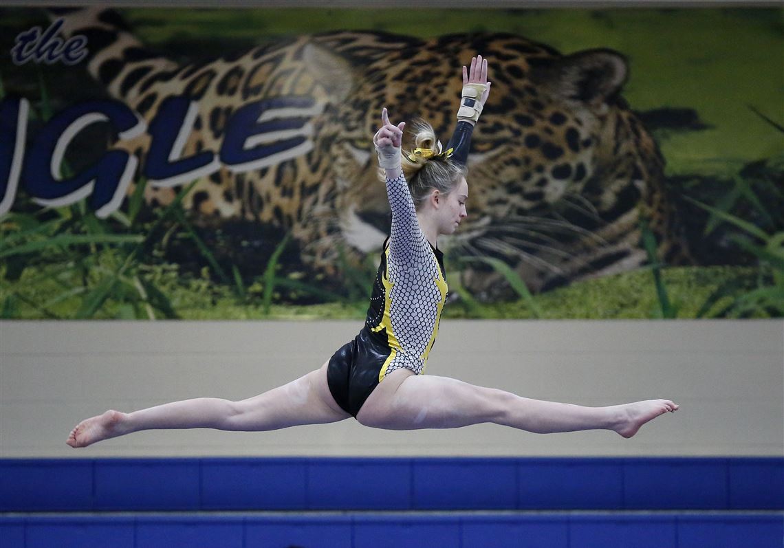 Future looks bright for Perrysburg freshman gymnast The Blade