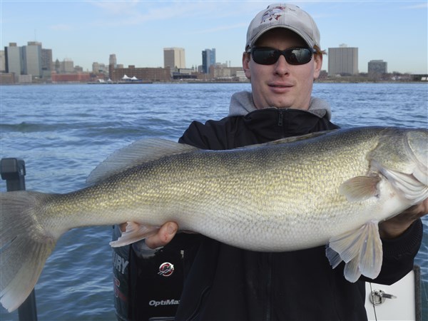 Detroit River Walleye - The Great Lakes Fisherman