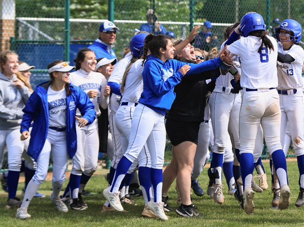 Anthony Wayne Softball Team Headed To State Tournament The Blade