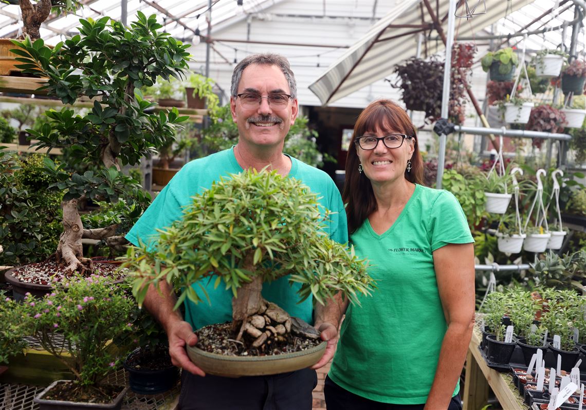Slow growing: Monroe is home to the largest bonsai garden in Michigan | The  Blade