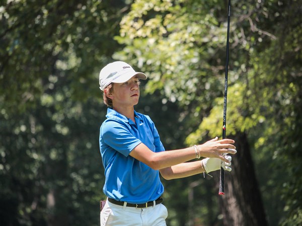 Anthony Wayne wins close race for Division I boys golf sectional title ...