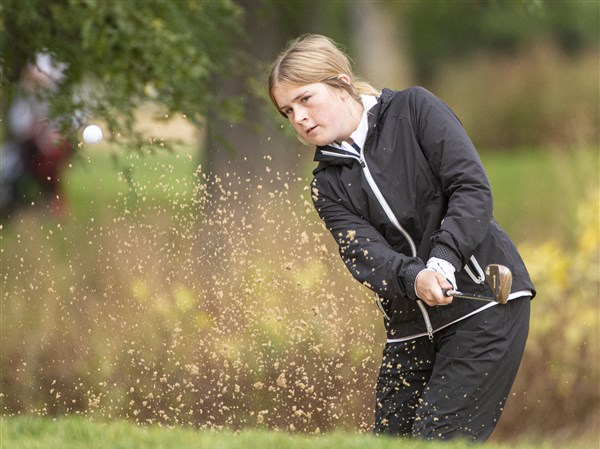 Golf state finals: Anthony Wayne boys 8th, St. Ursula 9th in Division I ...