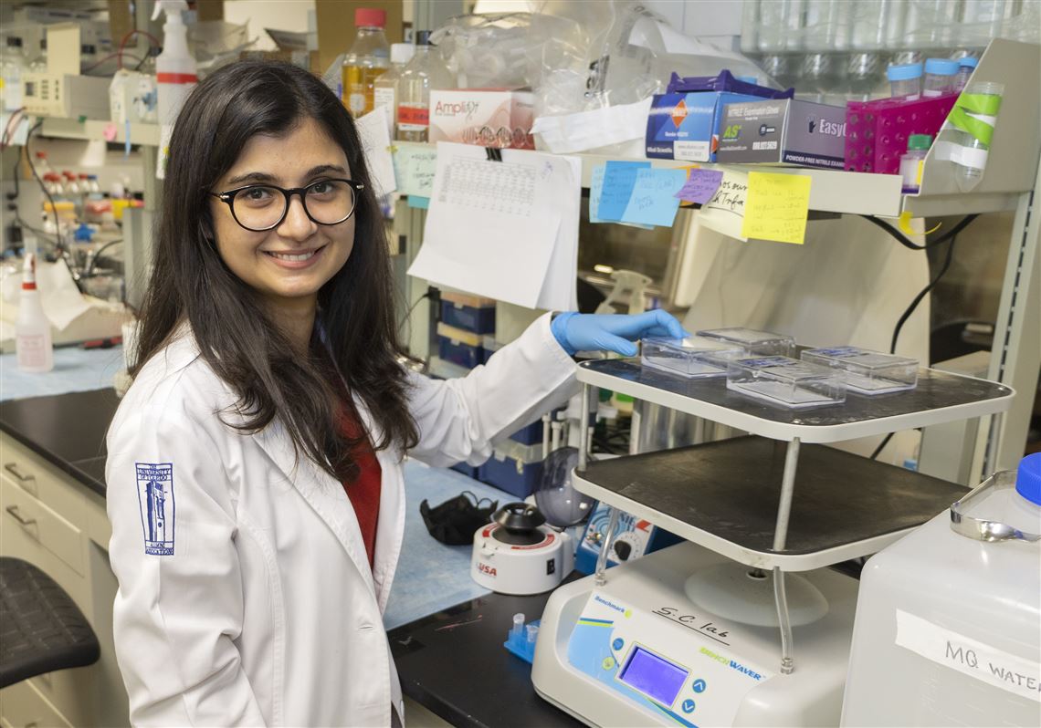 UT researchers look to off label drug to help attack fatty liver disease |  The Blade