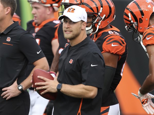 Clay grad, Bengals assistant Kovacs looks to work his way up NFL ...